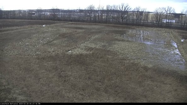 Cell 3_24-02-28_17-27-18-43