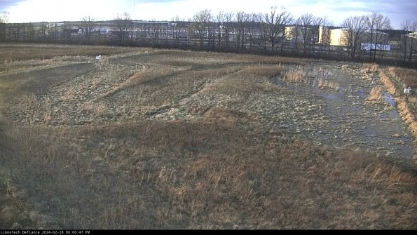 Cell 3_24-02-28_18-00-47-44