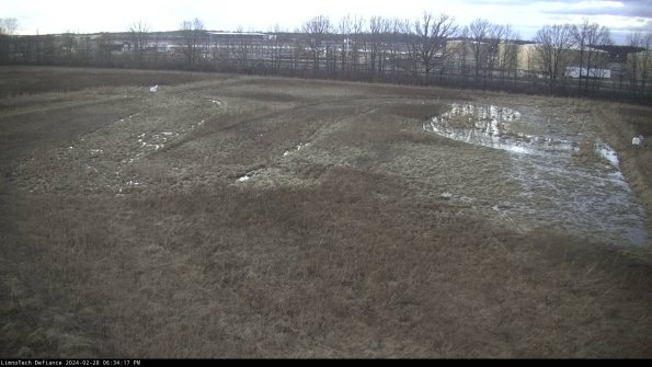 Cell 3_24-02-28_18-34-17-69