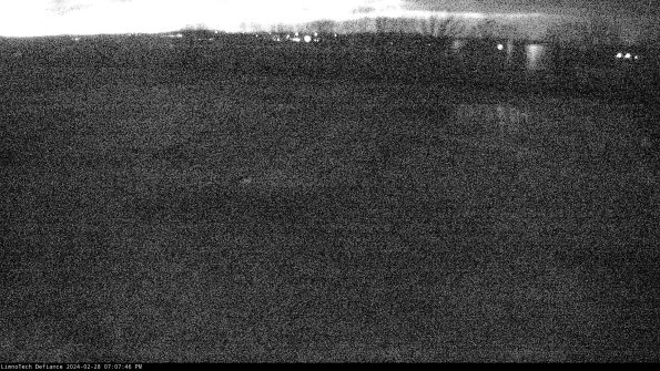 Cell 3_24-02-28_19-07-46-70