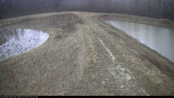 Cell 4 to Basin_24-02-28_07-25-22-41