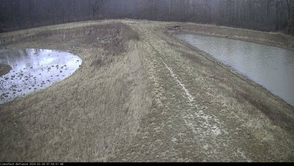 Cell 4 to Basin_24-02-28_07-58-51-43