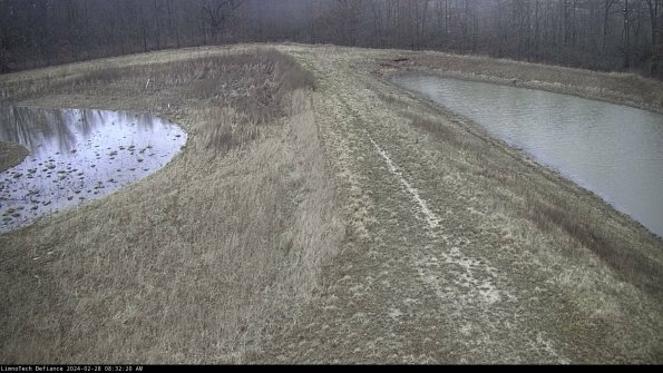 Cell 4 to Basin_24-02-28_08-32-20-41