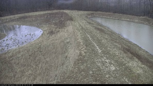 Cell 4 to Basin_24-02-28_10-12-51-42