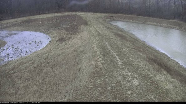 Cell 4 to Basin_24-02-28_11-53-19-43