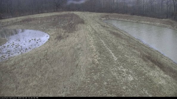 Cell 4 to Basin_24-02-28_12-26-50-44