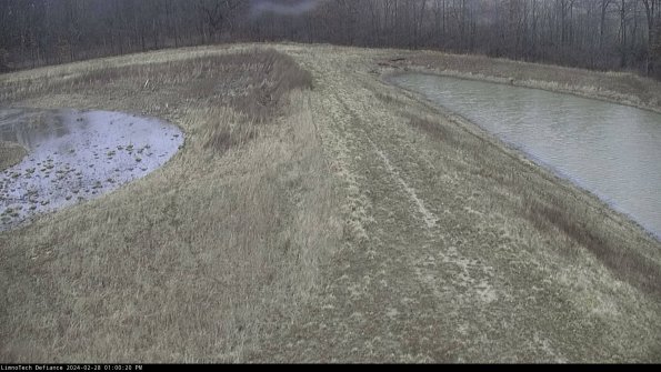 Cell 4 to Basin_24-02-28_13-00-20-42