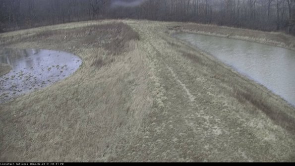 Cell 4 to Basin_24-02-28_13-33-51-44