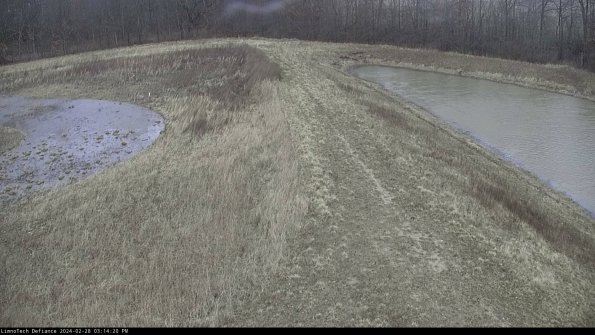 Cell 4 to Basin_24-02-28_15-14-20-44