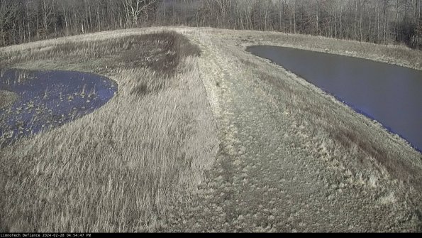 Cell 4 to Basin_24-02-28_16-54-47-41