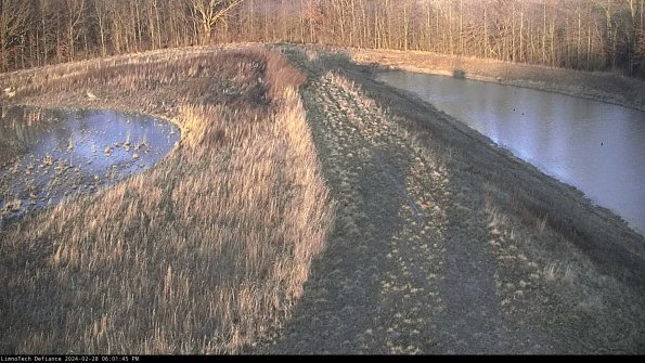 Cell 4 to Basin_24-02-28_18-01-45-44