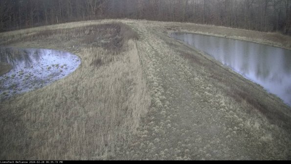 Cell 4 to Basin_24-02-28_18-35-15-45