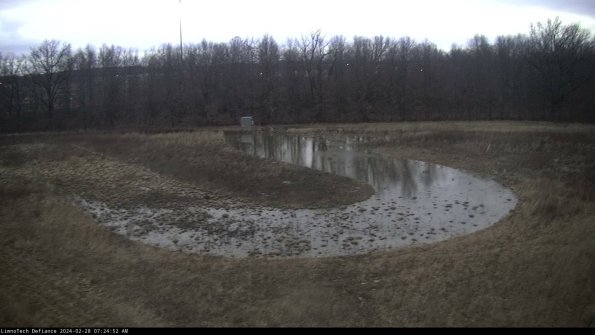 Cell 4_24-02-28_07-24-52-42