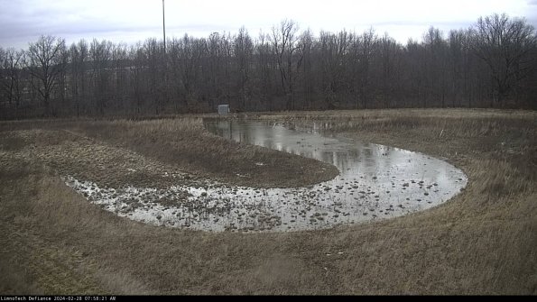 Cell 4_24-02-28_07-58-21-43