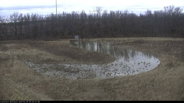 Cell 4_24-02-28_09-38-52-45