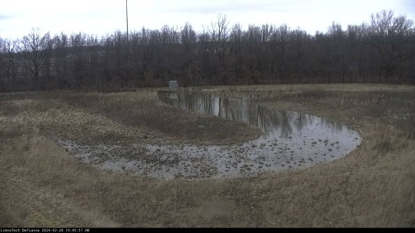 Cell 4_24-02-28_10-45-51-41