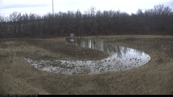 Cell 4_24-02-28_11-19-21-42