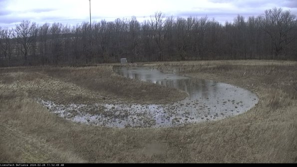 Cell 4_24-02-28_11-52-49-43