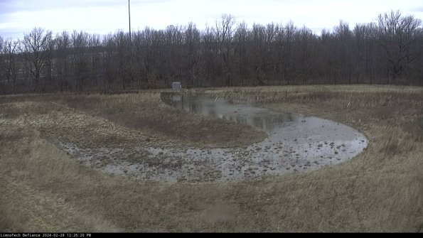 Cell 4_24-02-28_12-26-20-41