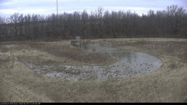 Cell 4_24-02-28_12-59-50-43