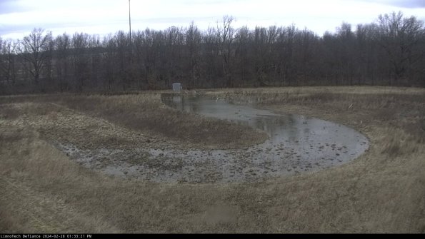 Cell 4_24-02-28_13-33-21-44