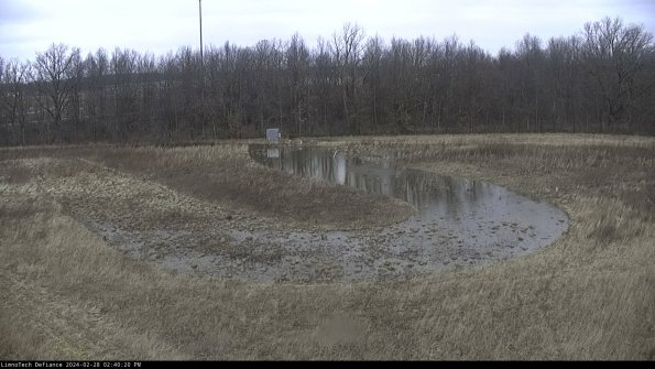 Cell 4_24-02-28_14-40-20-44