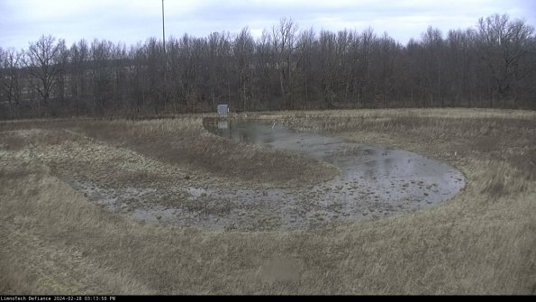 Cell 4_24-02-28_15-13-50-45