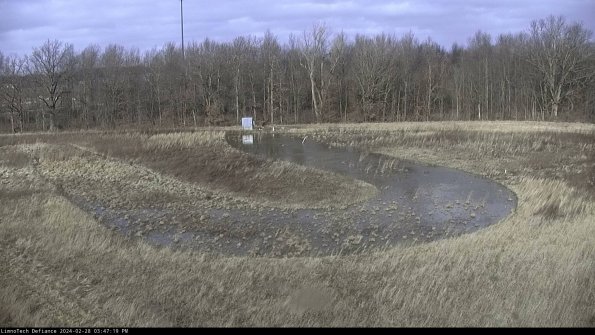 Cell 4_24-02-28_15-47-19-43