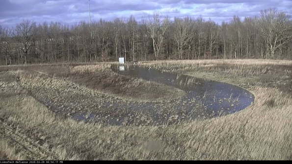 Cell 4_24-02-28_16-54-17-45