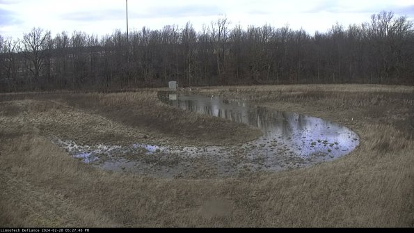 Cell 4_24-02-28_17-27-46-43