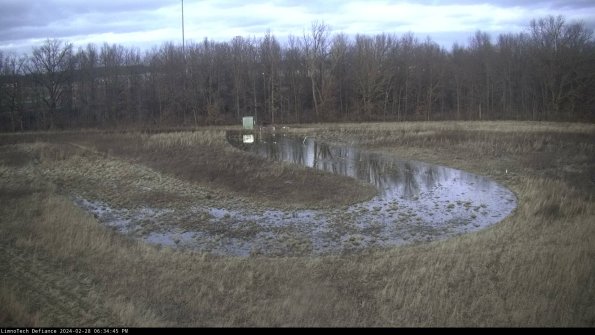 Cell 4_24-02-28_18-34-45-45