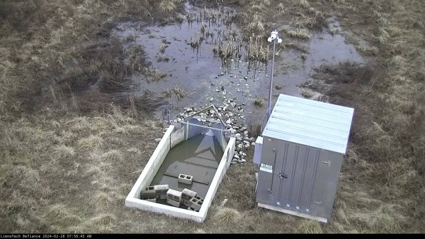 Flume_24-02-28_07-56-45-43