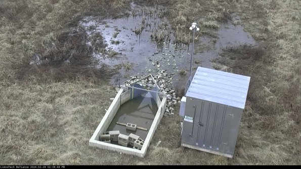 Flume_24-02-28_14-38-44-44