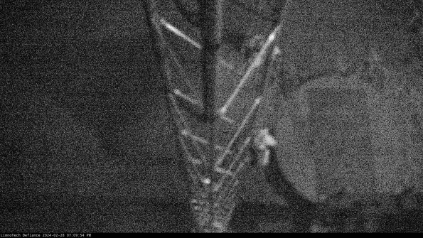 Hatch_24-02-28_19-09-54-46