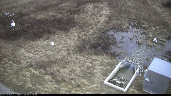 Weather & Flume_24-02-28_07-59-48-62