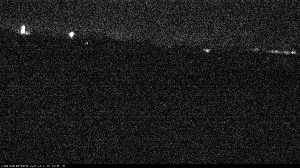 Cell 2_24-03-01_19-15-27-33