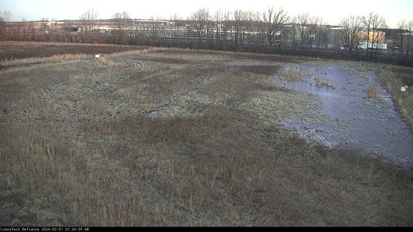 Cell 3_24-03-01_07-24-59-42