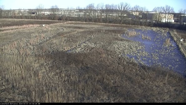 Cell 3_24-03-01_07-58-29-43