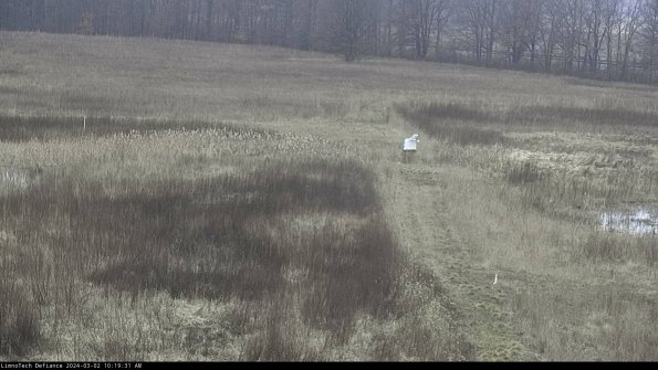 Cell 1 to 2_24-03-02_10-19-32-27