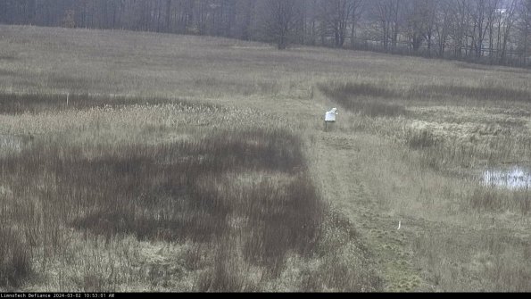 Cell 1 to 2_24-03-02_10-53-02-29