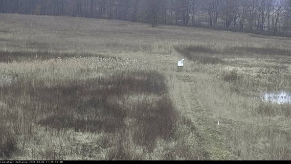 Cell 1 to 2_24-03-02_11-26-31-31