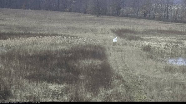 Cell 1 to 2_24-03-02_12-33-30-31