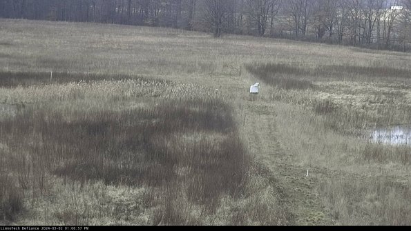 Cell 1 to 2_24-03-02_13-06-58-33