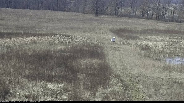 Cell 1 to 2_24-03-02_13-40-28-31