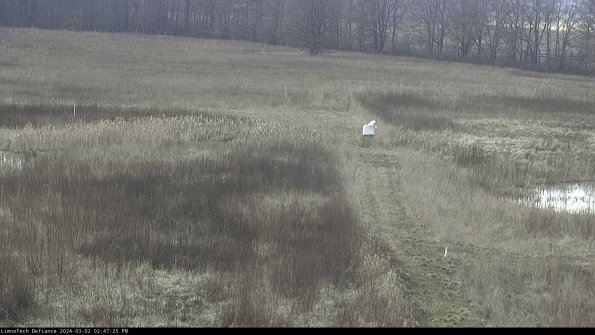 Cell 1 to 2_24-03-02_14-47-26-32