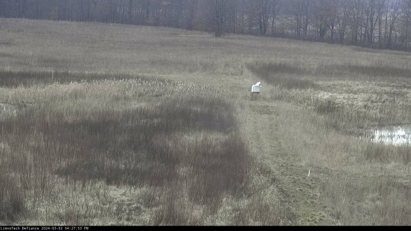 Cell 1 to 2_24-03-02_16-27-54-30