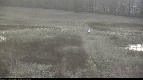 Cell 1 to 2_24-03-02_18-08-22-32