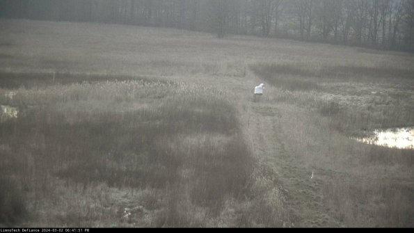 Cell 1 to 2_24-03-02_18-41-52-31