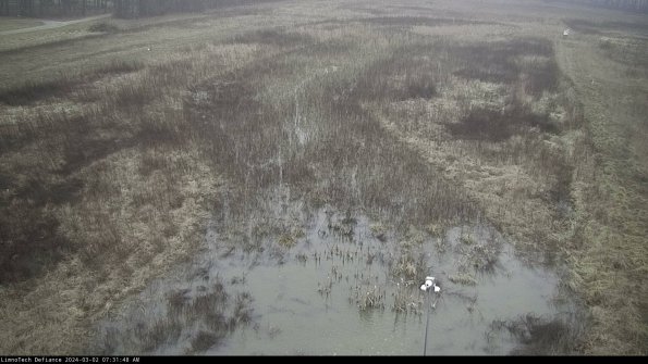 Cell 1_24-03-02_07-31-49-28