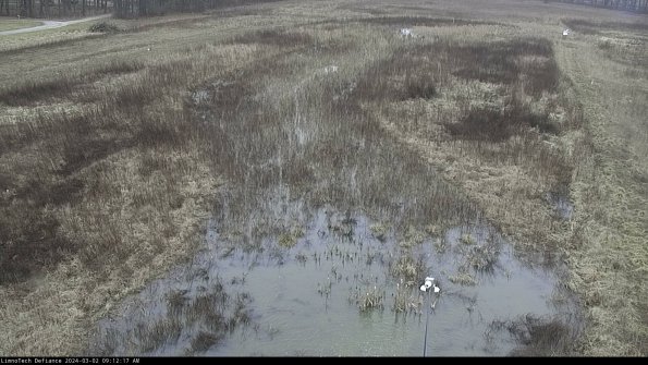 Cell 1_24-03-02_09-12-18-29